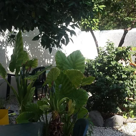 Zagara Bed & Breakfast 3*